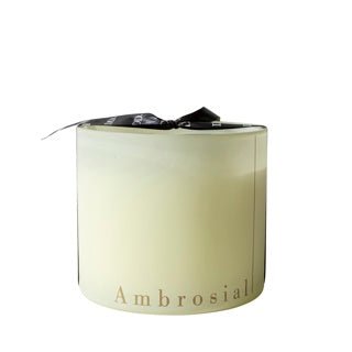 Dome Deco AMBROSIAL M Scent & Candle Cream - Araco Interiors