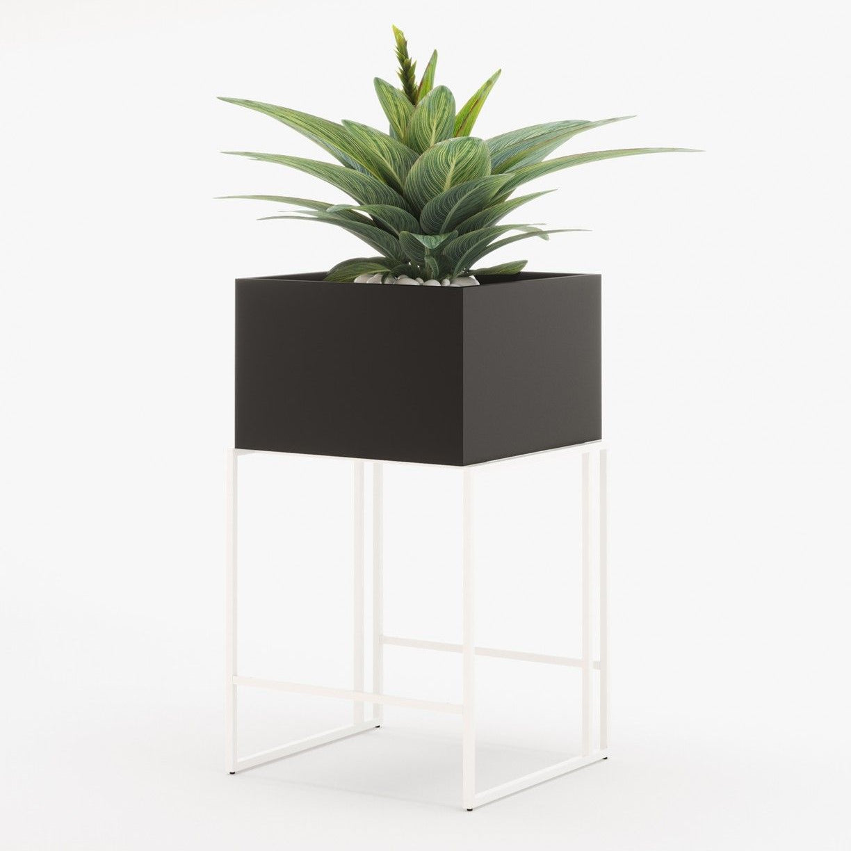 Laskasas ACHILES Planter & Pot Black Lacquer Matte - Araco Interiors
