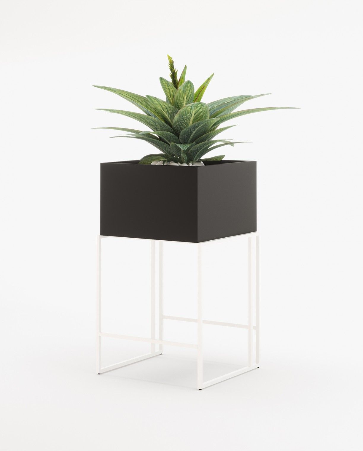 Laskasas ACHILES Planter & Pot Black Lacquer Matte - Araco Interiors