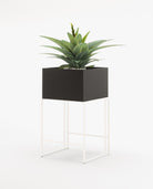 Laskasas ACHILES Planter & Pot Black Lacquer Matte - Araco Interiors