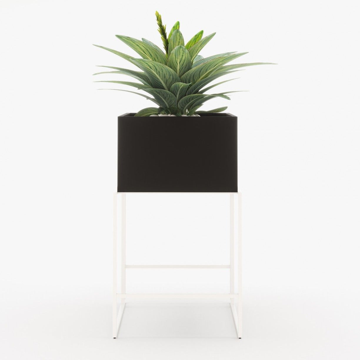 Laskasas ACHILES Planter & Pot Black Lacquer Matte - Araco Interiors