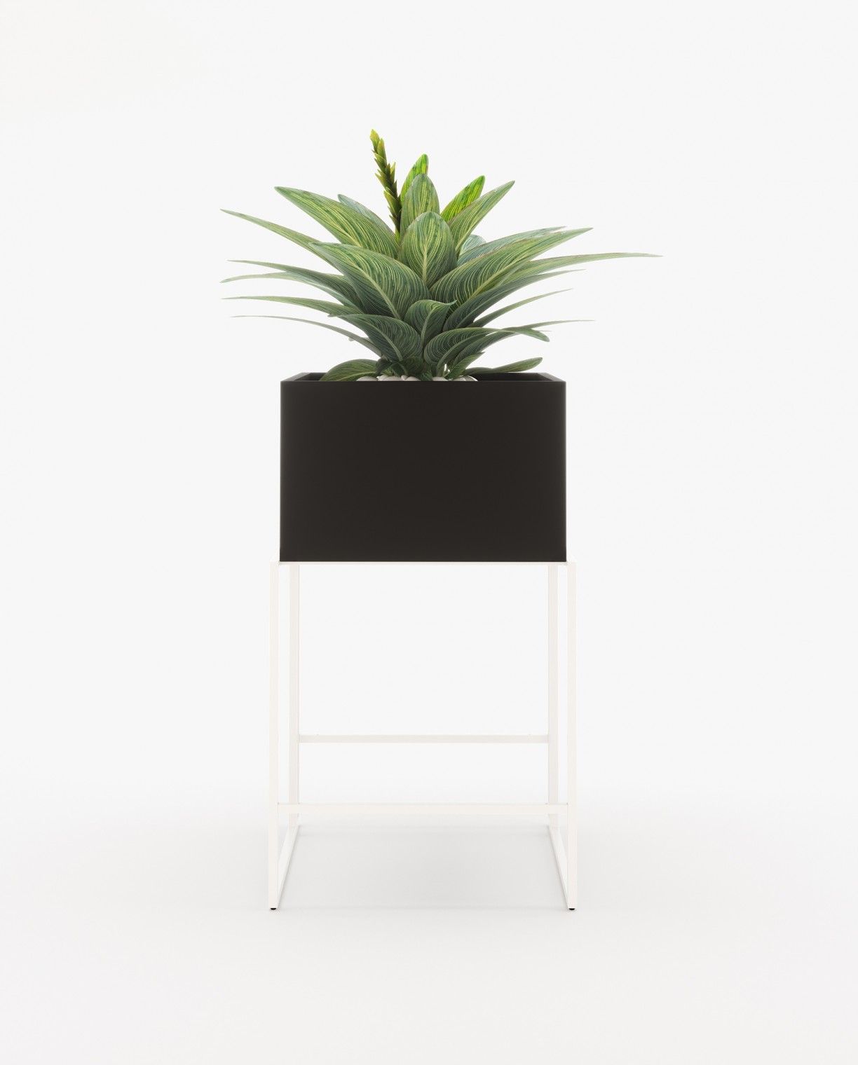 Laskasas ACHILES Planter & Pot Black Lacquer Matte - Araco Interiors