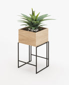 Laskasas ACHILES Planter & Pot Oak Veneer Matte - Araco Interiors