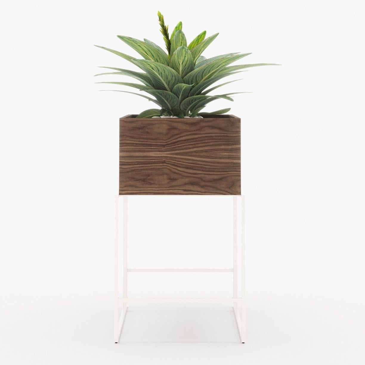Laskasas ACHILES Planter & Pot Walnut Veneer Matte - Araco Interiors
