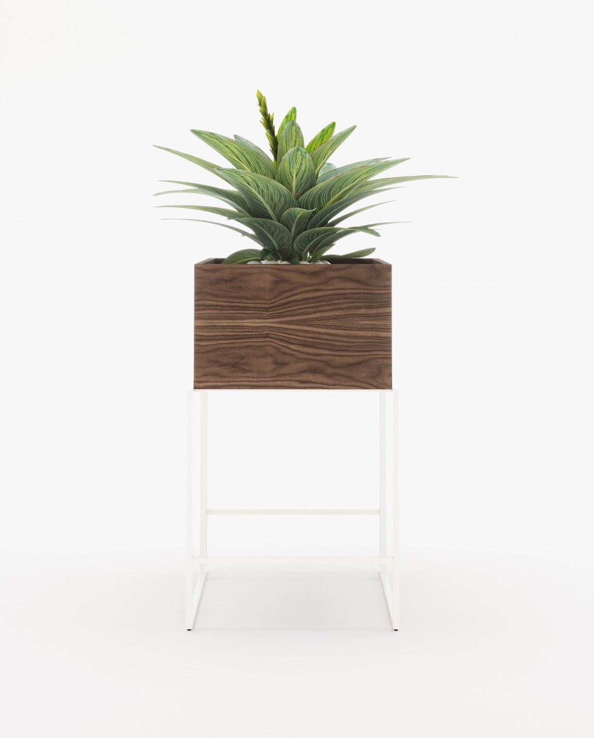 Laskasas ACHILES Planter & Pot Walnut Veneer Matte - Araco Interiors