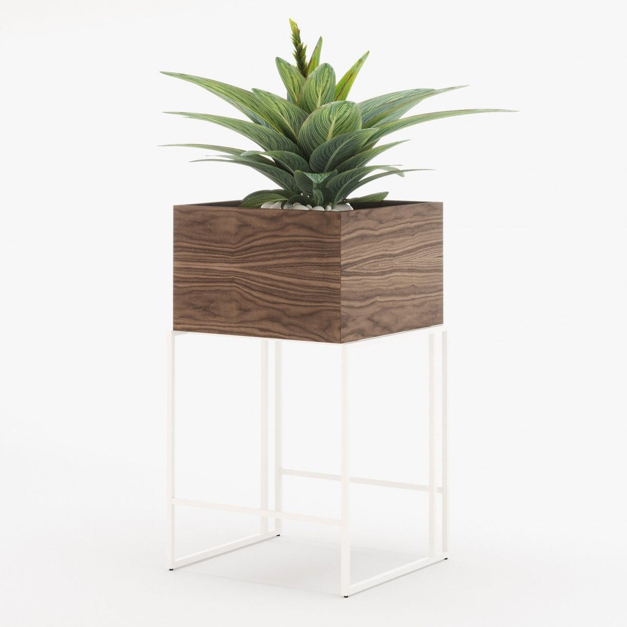 Laskasas ACHILES Planter & Pot Walnut Veneer Matte - Araco Interiors