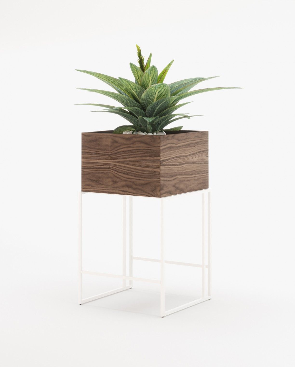 Laskasas ACHILES Planter & Pot Walnut Veneer Matte - Araco Interiors