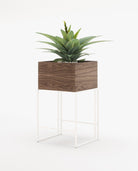 Laskasas ACHILES Planter & Pot Walnut Veneer Matte - Araco Interiors
