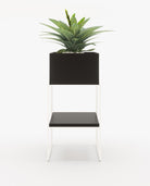 Laskasas ACHILES with shelf Planter & Pot Black Lacquer Matte - Araco Interiors