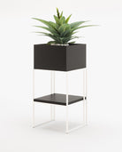 Laskasas ACHILES with shelf Planter & Pot Black Lacquer Matte - Araco Interiors