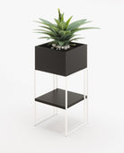 Laskasas ACHILES with shelf Planter & Pot Black Lacquer Matte - Araco Interiors