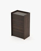 Laskasas ENDY Tallboy Chest of Drawers Smoked Eucalyptus Veneer Matte - Araco Interiors