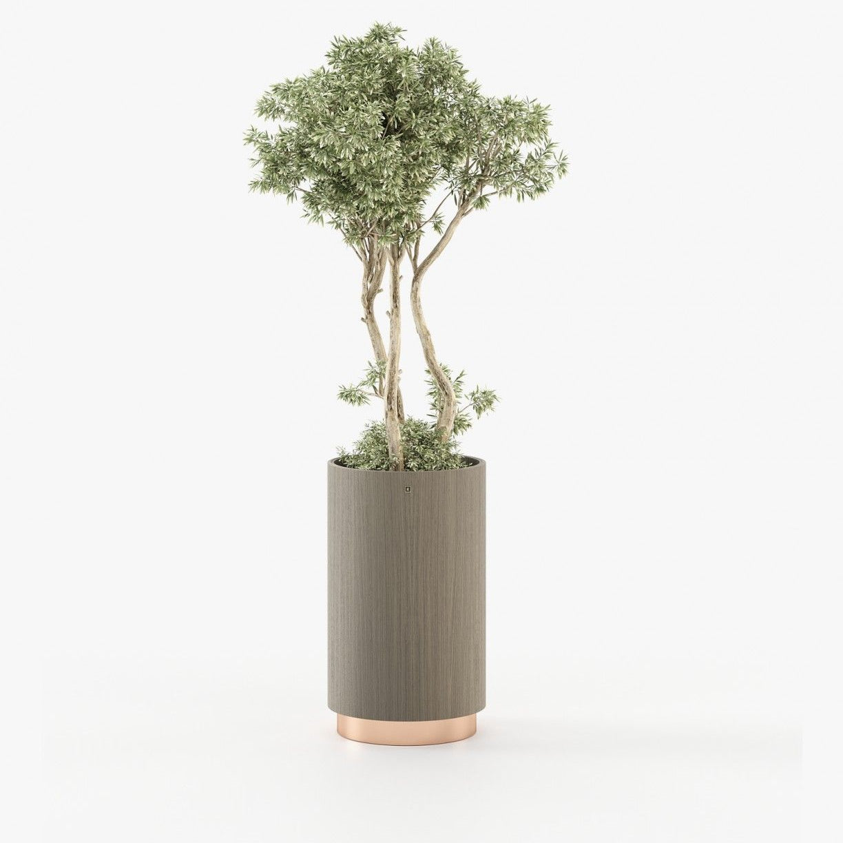Laskasas GOLD Planter & Pot Aged Oak Veneer Matte - Araco Interiors