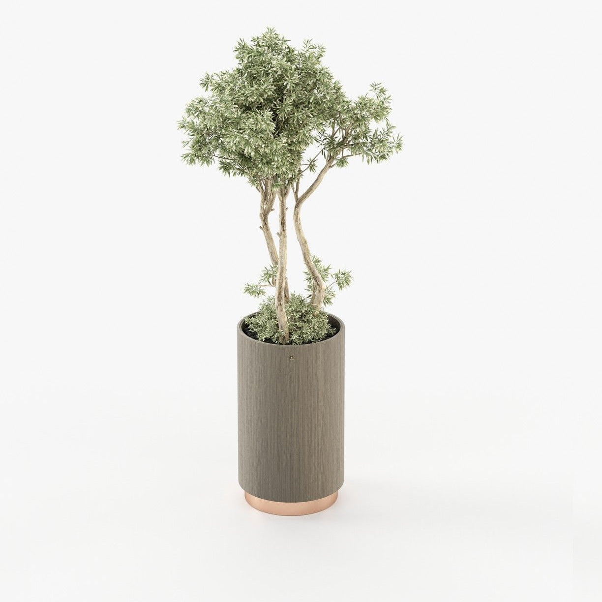 Laskasas GOLD Planter & Pot Aged Oak Veneer Matte - Araco Interiors