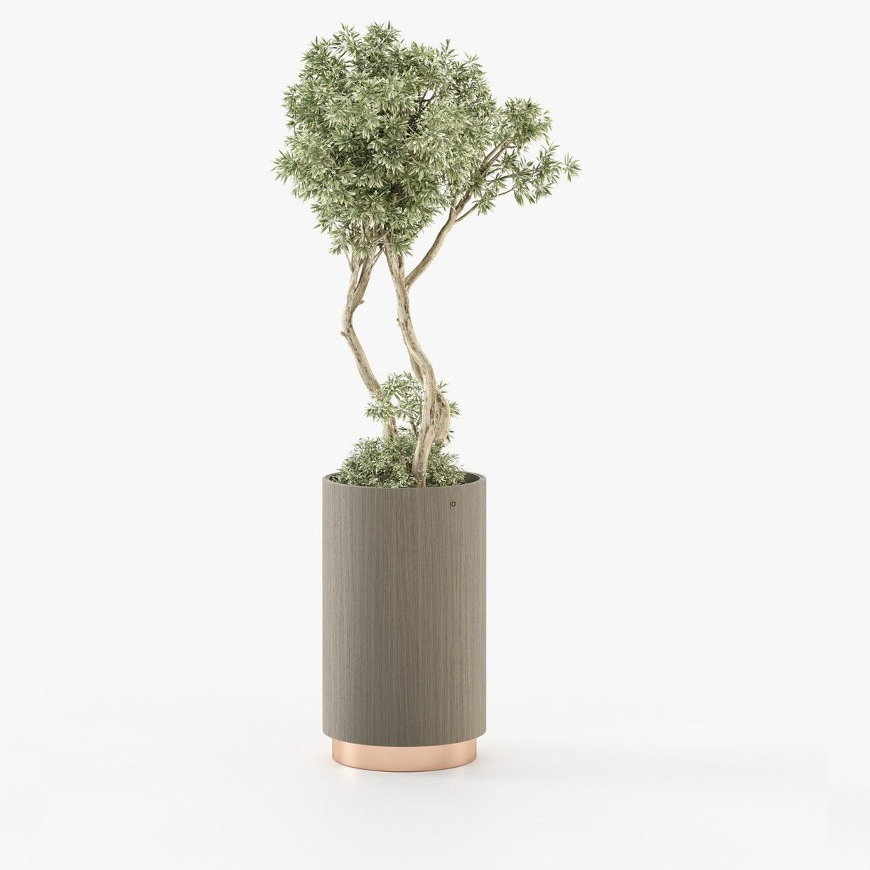Laskasas GOLD Planter & Pot Aged Oak Veneer Matte - Araco Interiors