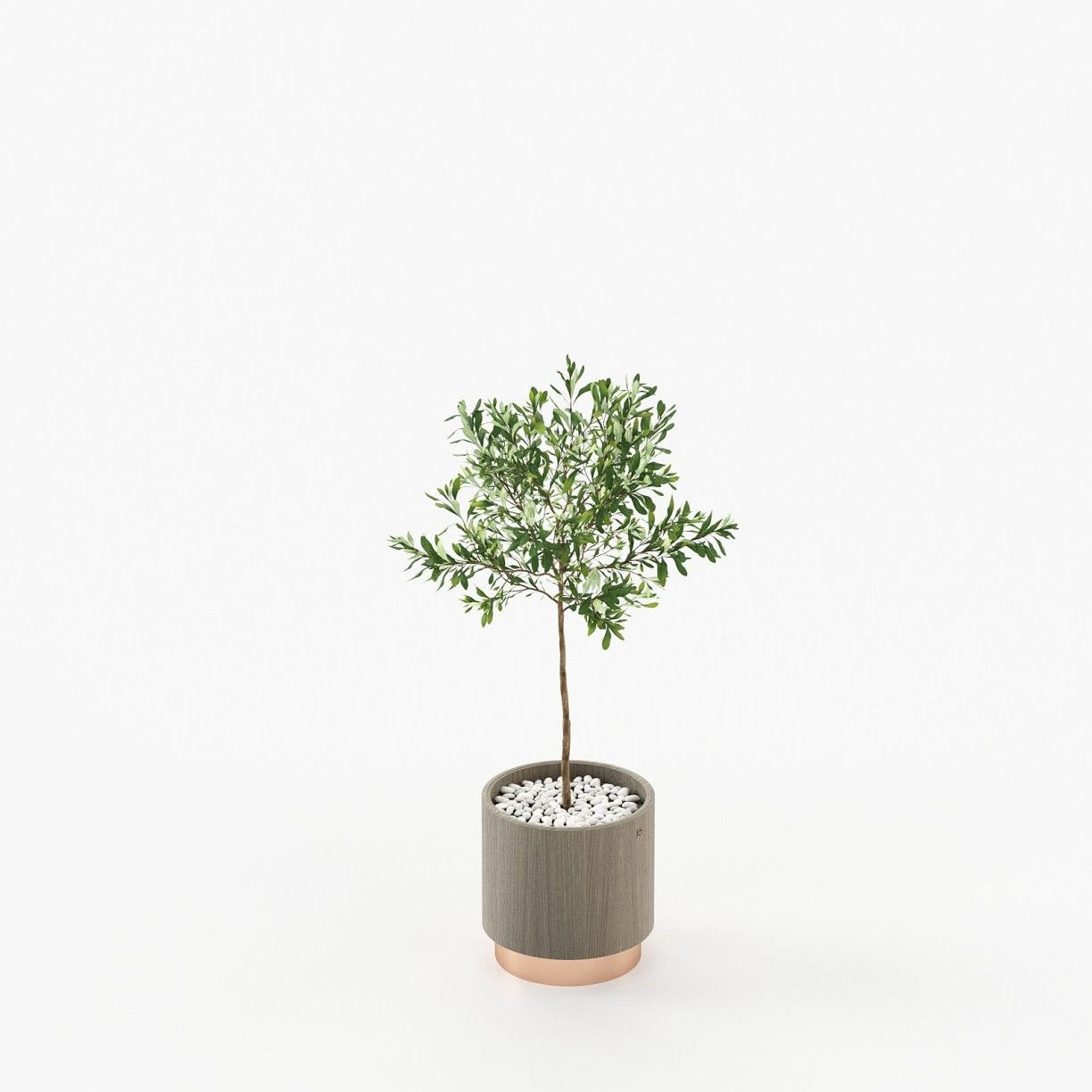 Laskasas GOLD Planter & Pot Aged Oak Veneer Matte - Araco Interiors