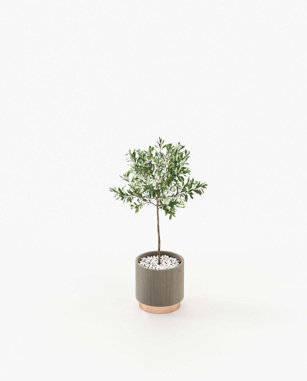 Laskasas GOLD Planter & Pot Aged Oak Veneer Matte - Araco Interiors