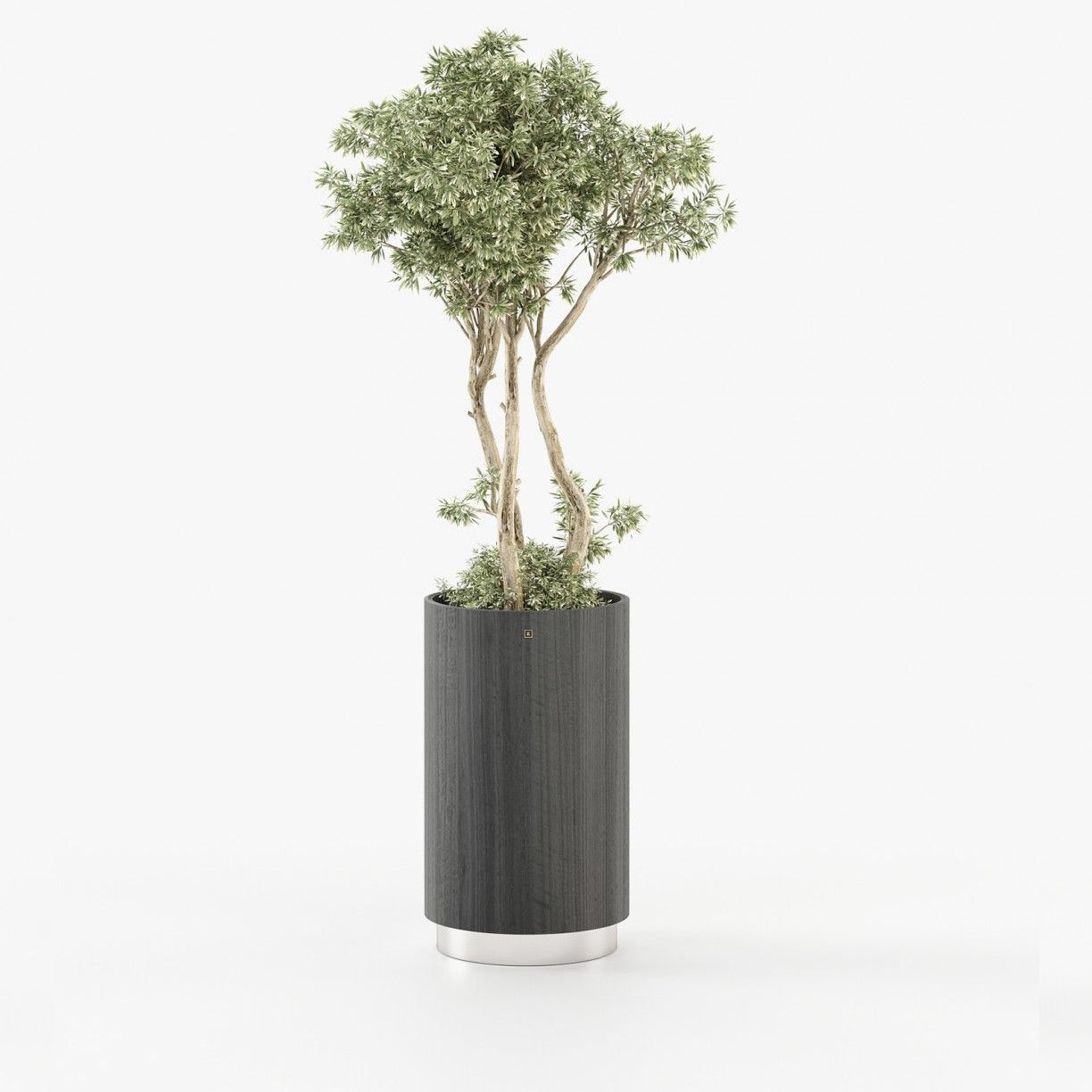 Laskasas GOLD Planter & Pot Grey Eucalyptus Veneer Matte - Araco Interiors
