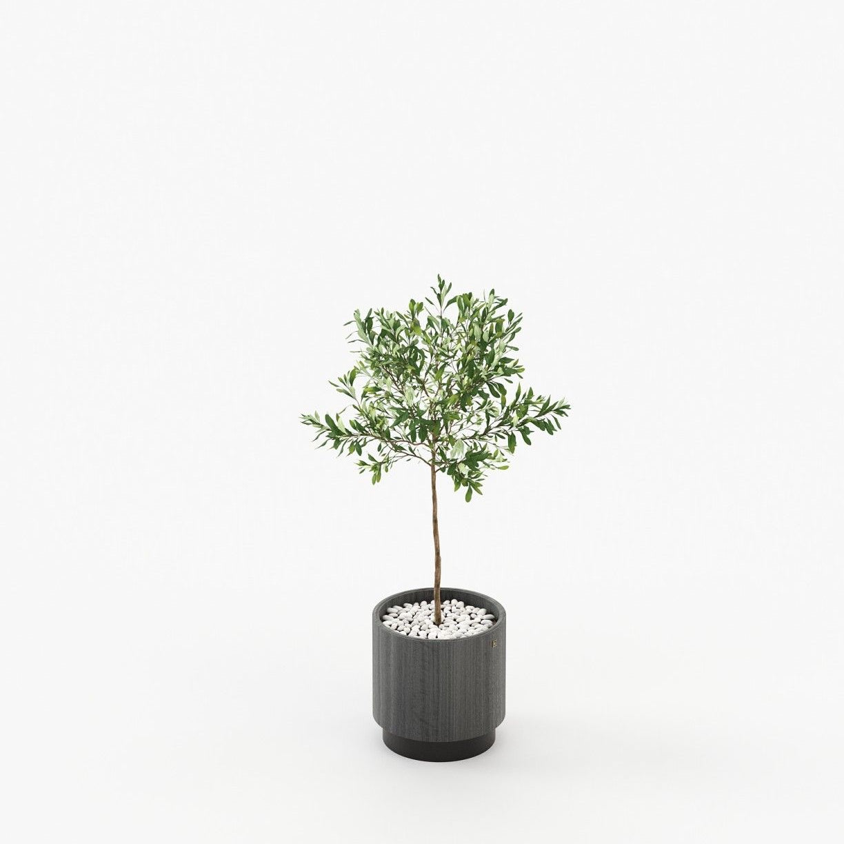 Laskasas GOLD Planter & Pot Grey Eucalyptus Veneer Matte - Araco Interiors