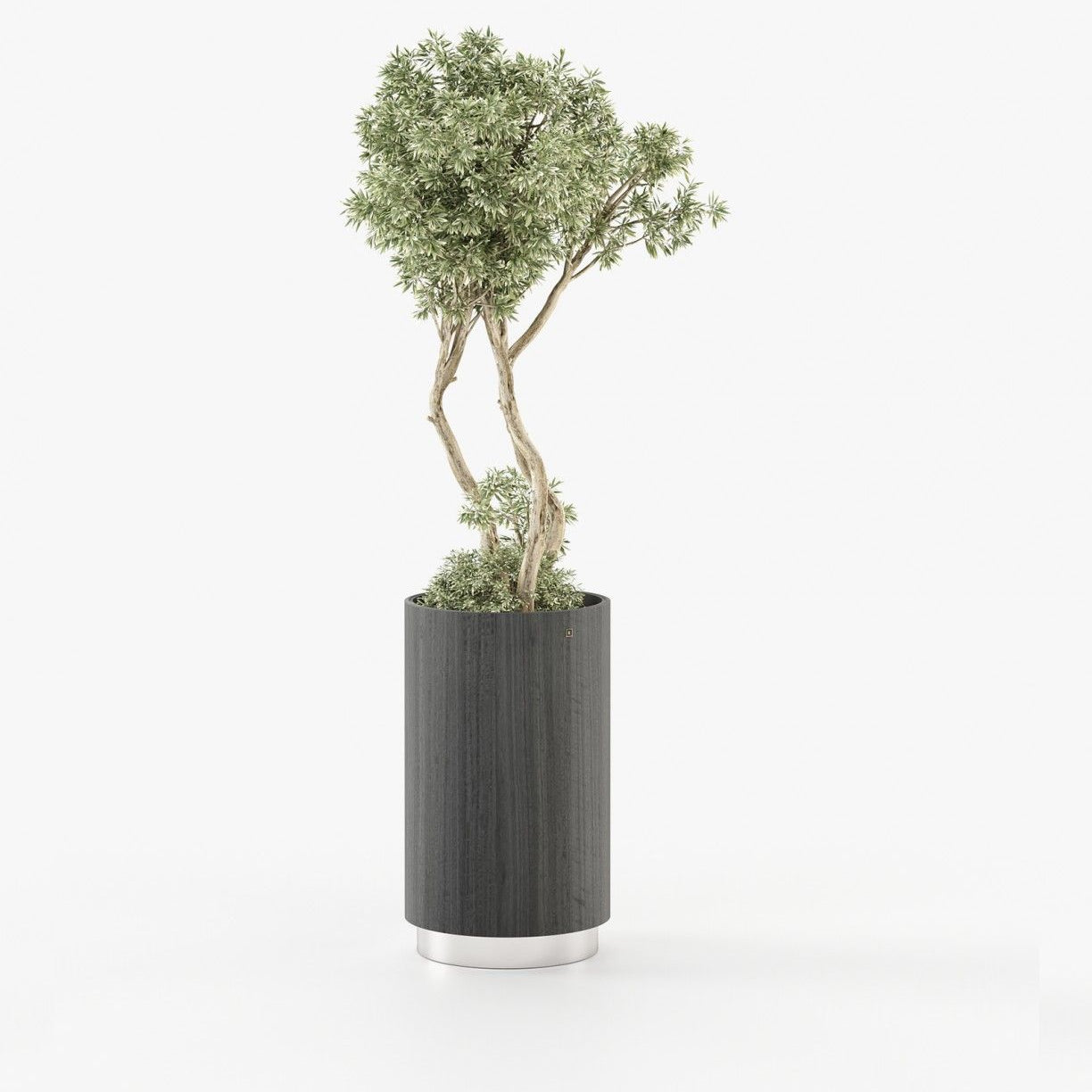 Laskasas GOLD Planter & Pot Grey Eucalyptus Veneer Matte - Araco Interiors