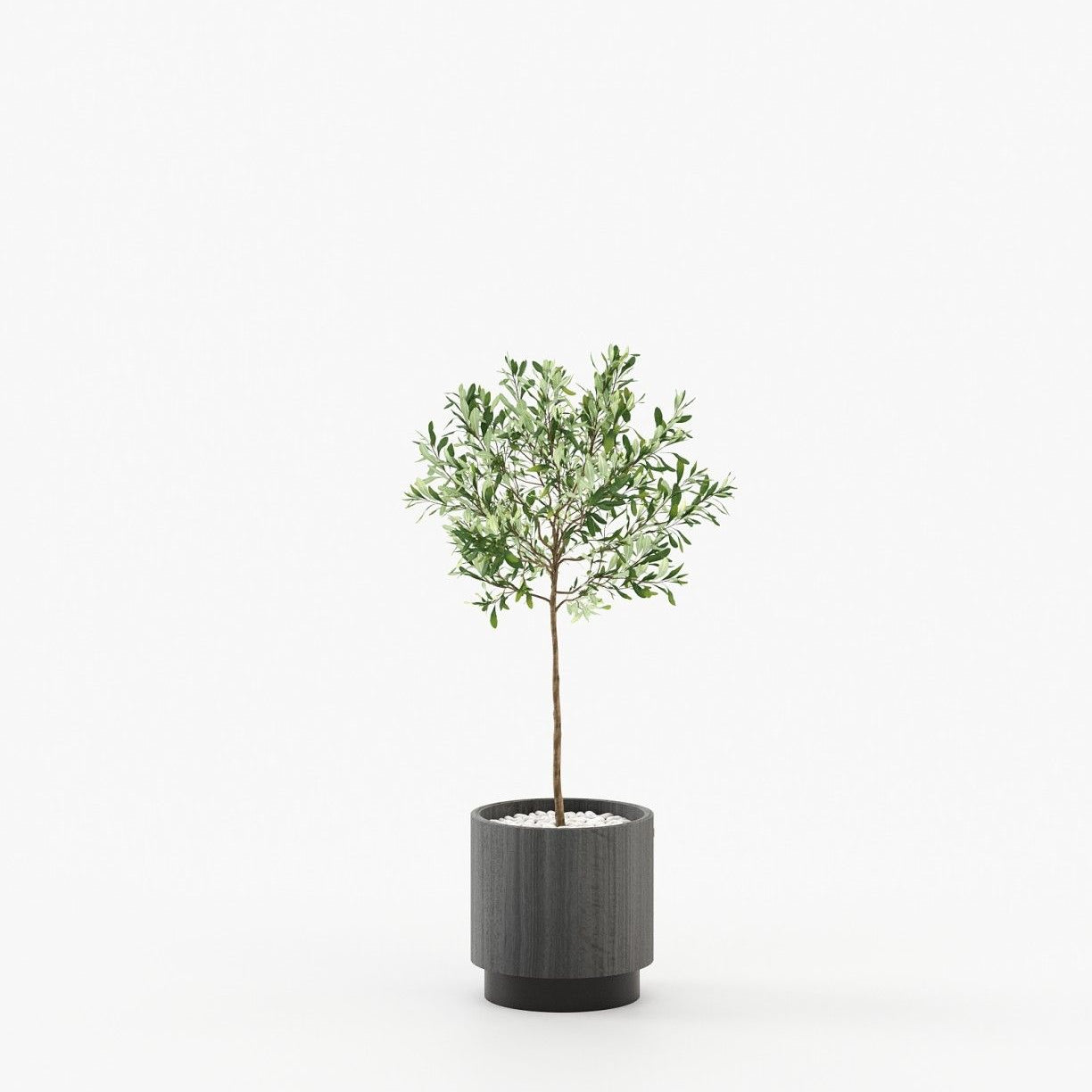 Laskasas GOLD Planter & Pot Grey Eucalyptus Veneer Matte - Araco Interiors