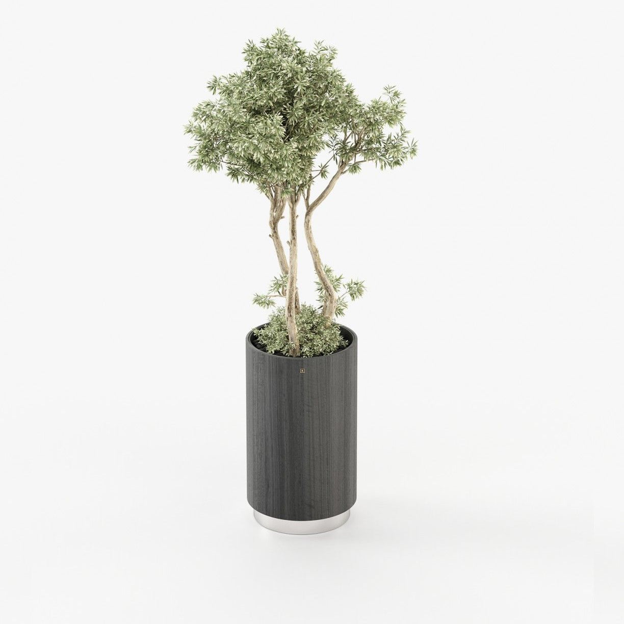 Laskasas GOLD Planter & Pot Grey Eucalyptus Veneer Matte - Araco Interiors