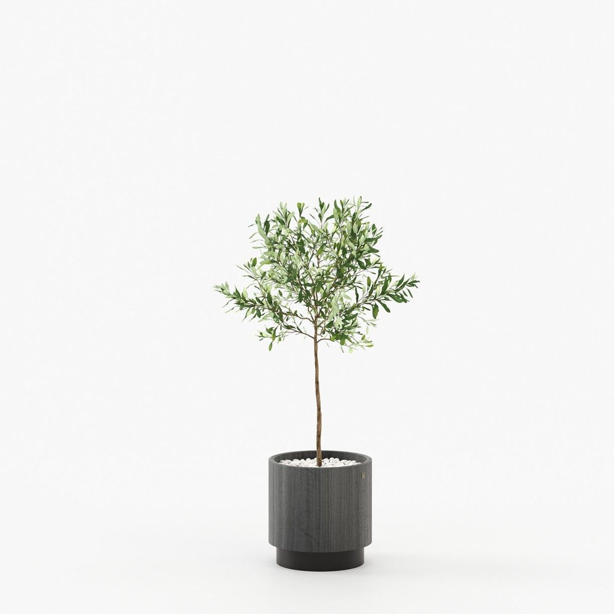 Laskasas GOLD Planter & Pot Grey Eucalyptus Veneer Matte - Araco Interiors