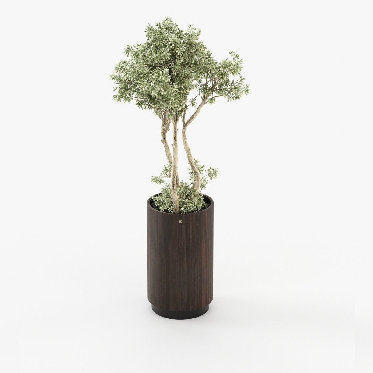 Laskasas GOLD Planter & Pot Smoked Eucalyptus Veneer Matte - Araco Interiors