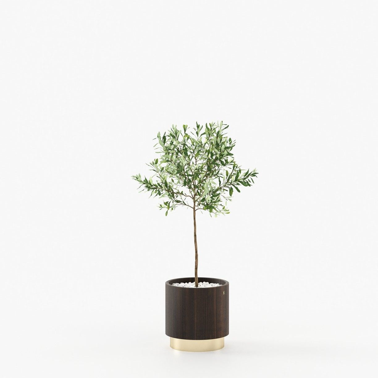 Laskasas GOLD Planter & Pot Smoked Eucalyptus Veneer Matte - Araco Interiors