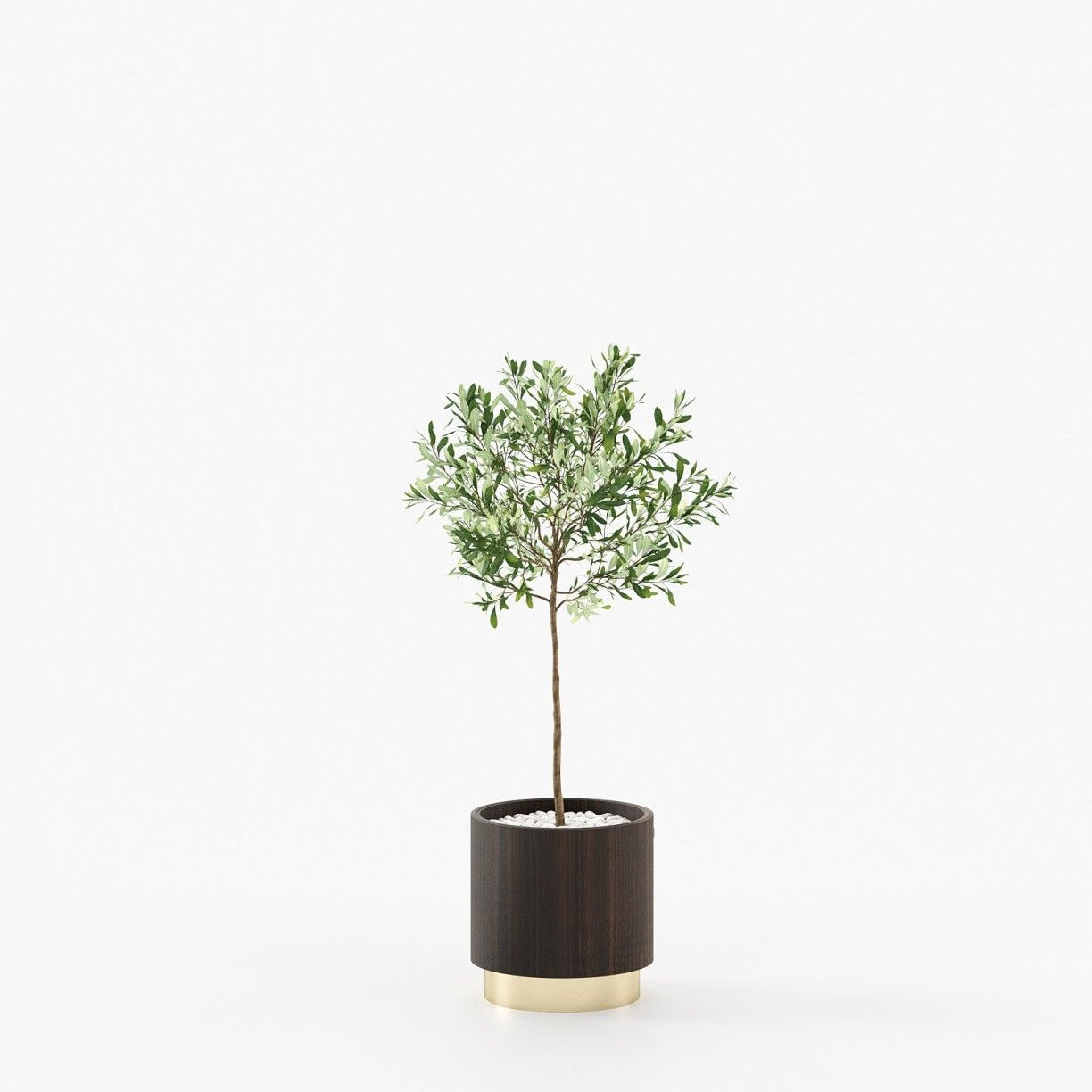 Laskasas GOLD Planter & Pot Smoked Eucalyptus Veneer Matte - Araco Interiors