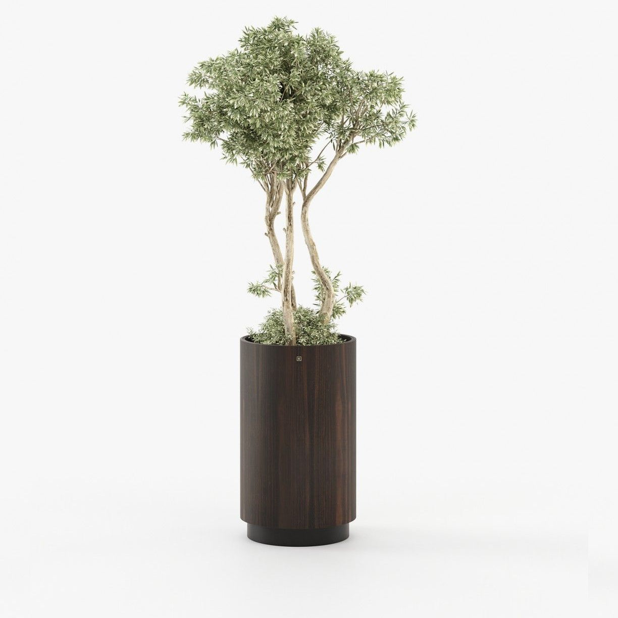 Laskasas GOLD Planter & Pot Smoked Eucalyptus Veneer Matte - Araco Interiors