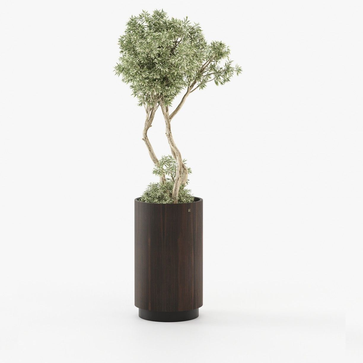 Laskasas GOLD Planter & Pot Smoked Eucalyptus Veneer Matte - Araco Interiors