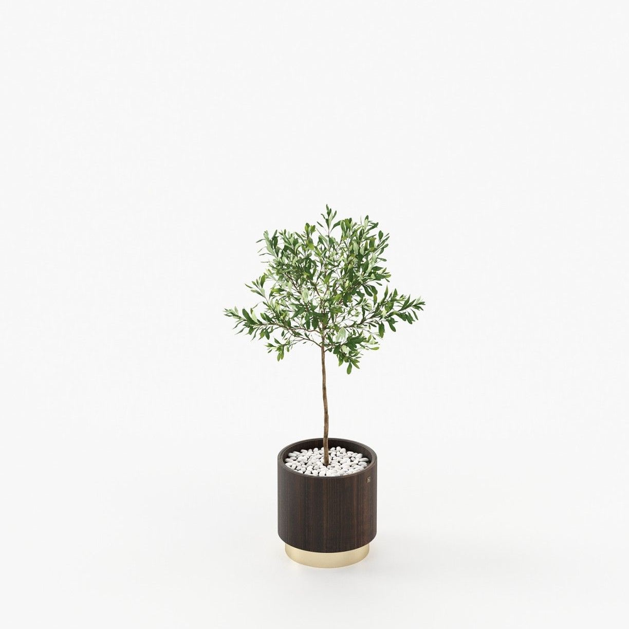 Laskasas GOLD Planter & Pot Smoked Eucalyptus Veneer Matte - Araco Interiors