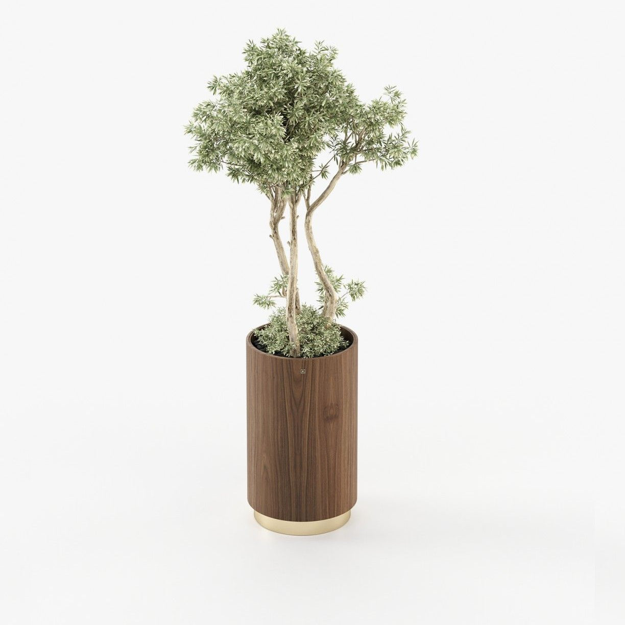 Laskasas GOLD Planter & Pot Walnut Veneer Matte - Araco Interiors