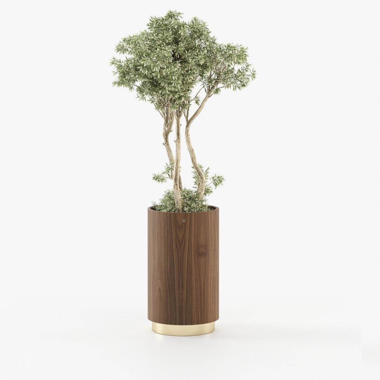 Laskasas GOLD Planter & Pot Walnut Veneer Matte - Araco Interiors