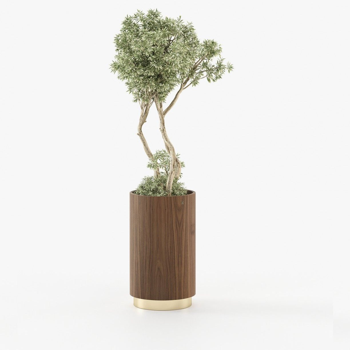 Laskasas GOLD Planter & Pot Walnut Veneer Matte - Araco Interiors