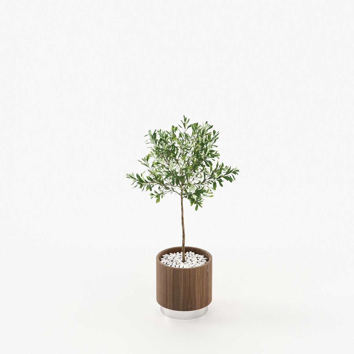 Laskasas GOLD Planter & Pot Walnut Veneer Matte - Araco Interiors