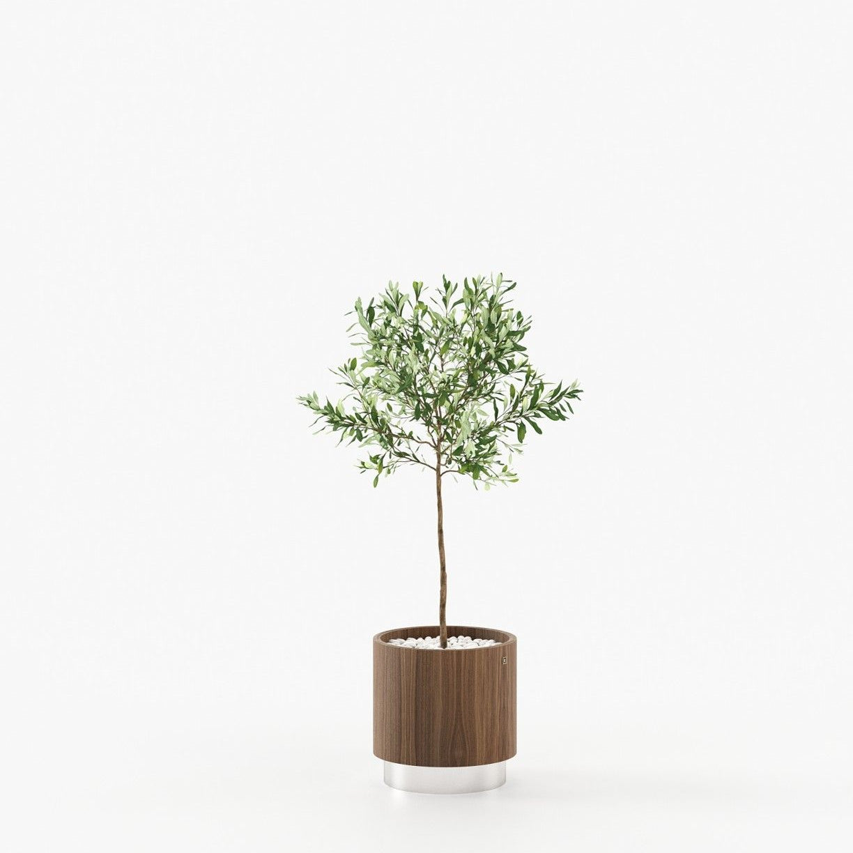 Laskasas GOLD Planter & Pot Walnut Veneer Matte - Araco Interiors
