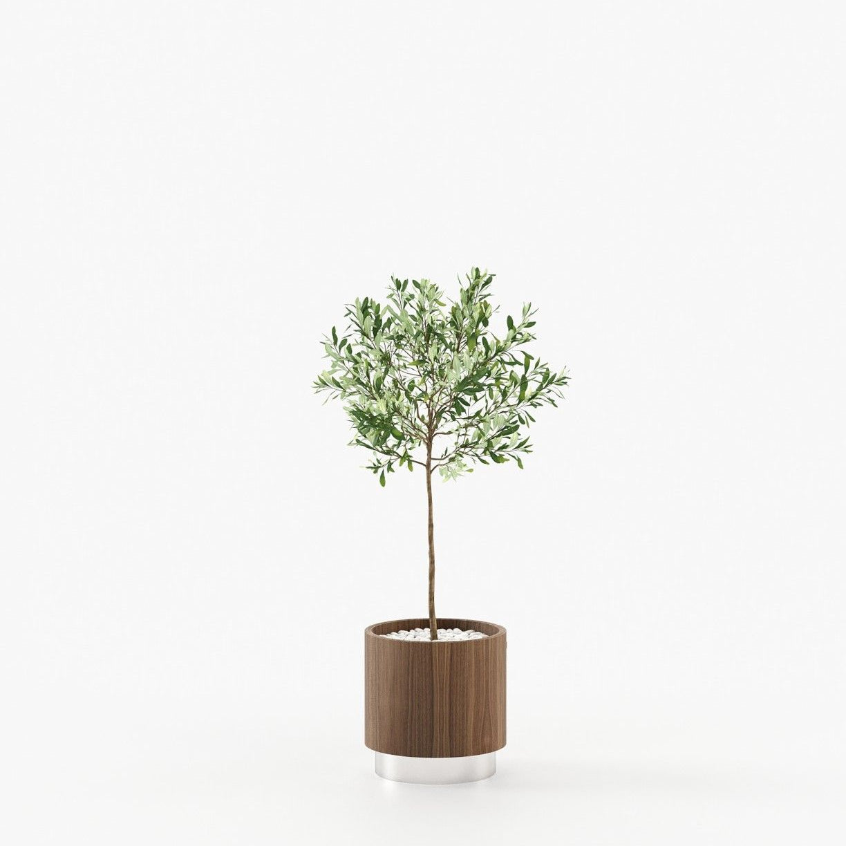 Laskasas GOLD Planter & Pot Walnut Veneer Matte - Araco Interiors