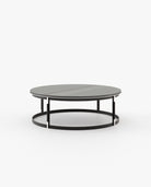 Laskasas LYSSA Coffee Table Grey Eucalyptus Veneer Matte - Araco Interiors