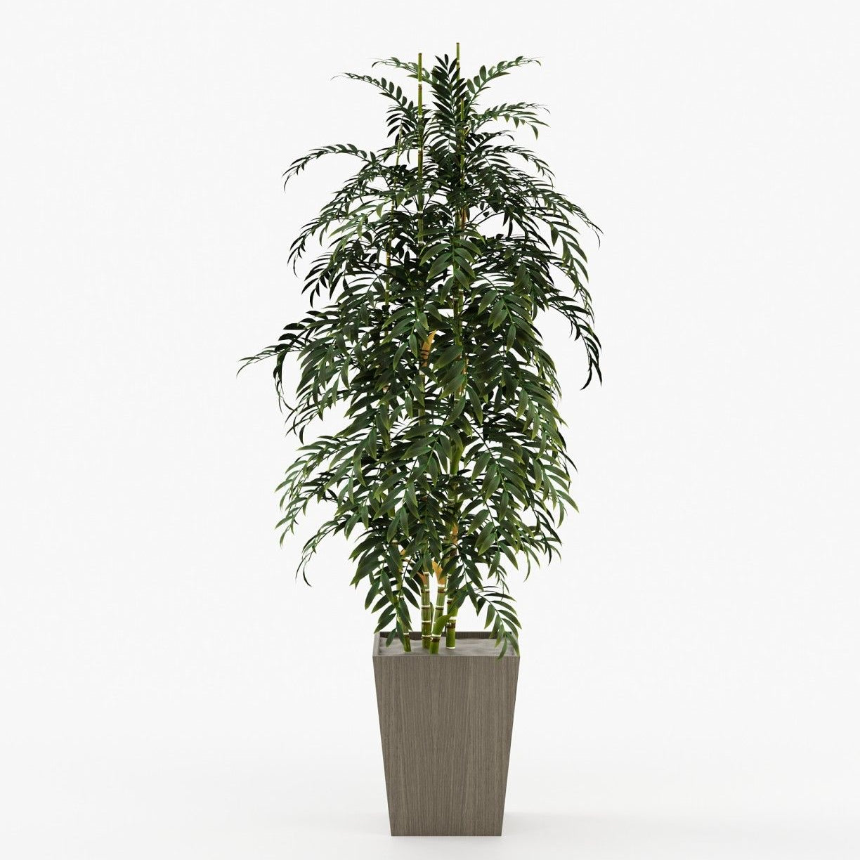 Laskasas POPPY Planter & Pot Aged Oak Veneer Matte - Araco Interiors