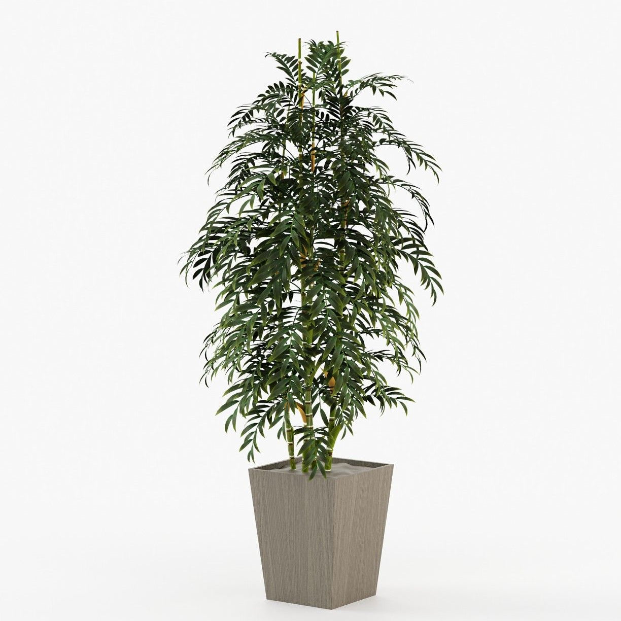 Laskasas POPPY Planter & Pot Aged Oak Veneer Matte - Araco Interiors