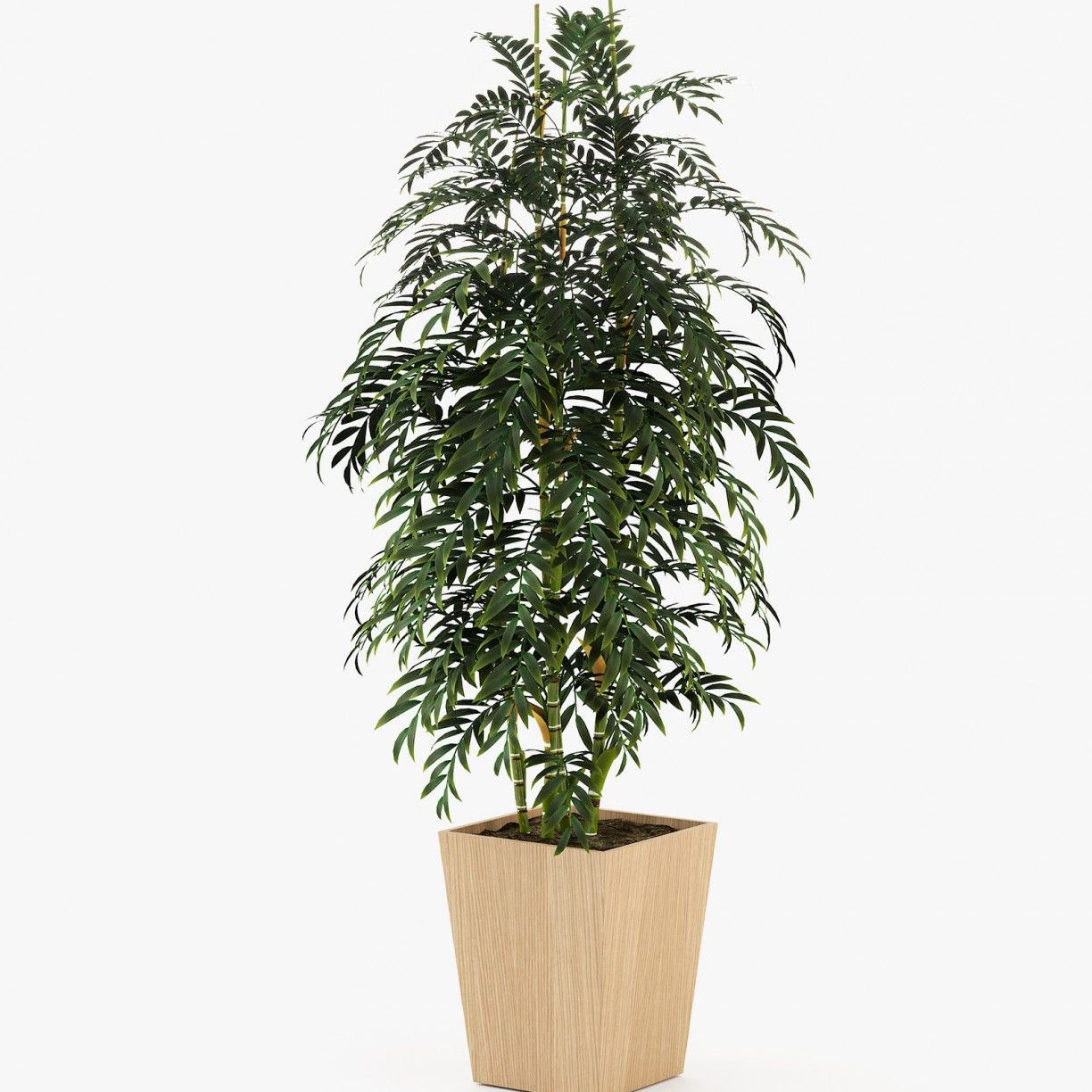 Laskasas POPPY Planter & Pot Oak Veneer Matte - Araco Interiors