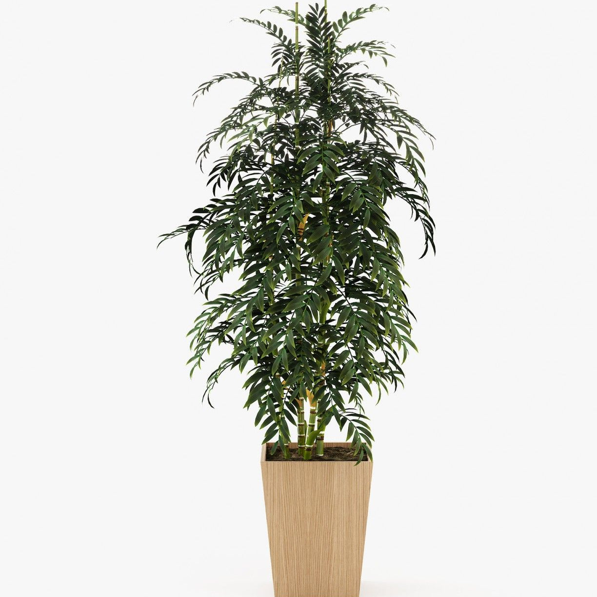 Laskasas POPPY Planter & Pot Oak Veneer Matte - Araco Interiors