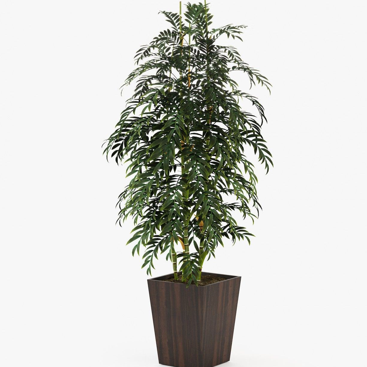 Laskasas POPPY Planter & Pot Smoked Eucalyptus Veneer Matte - Araco Interiors