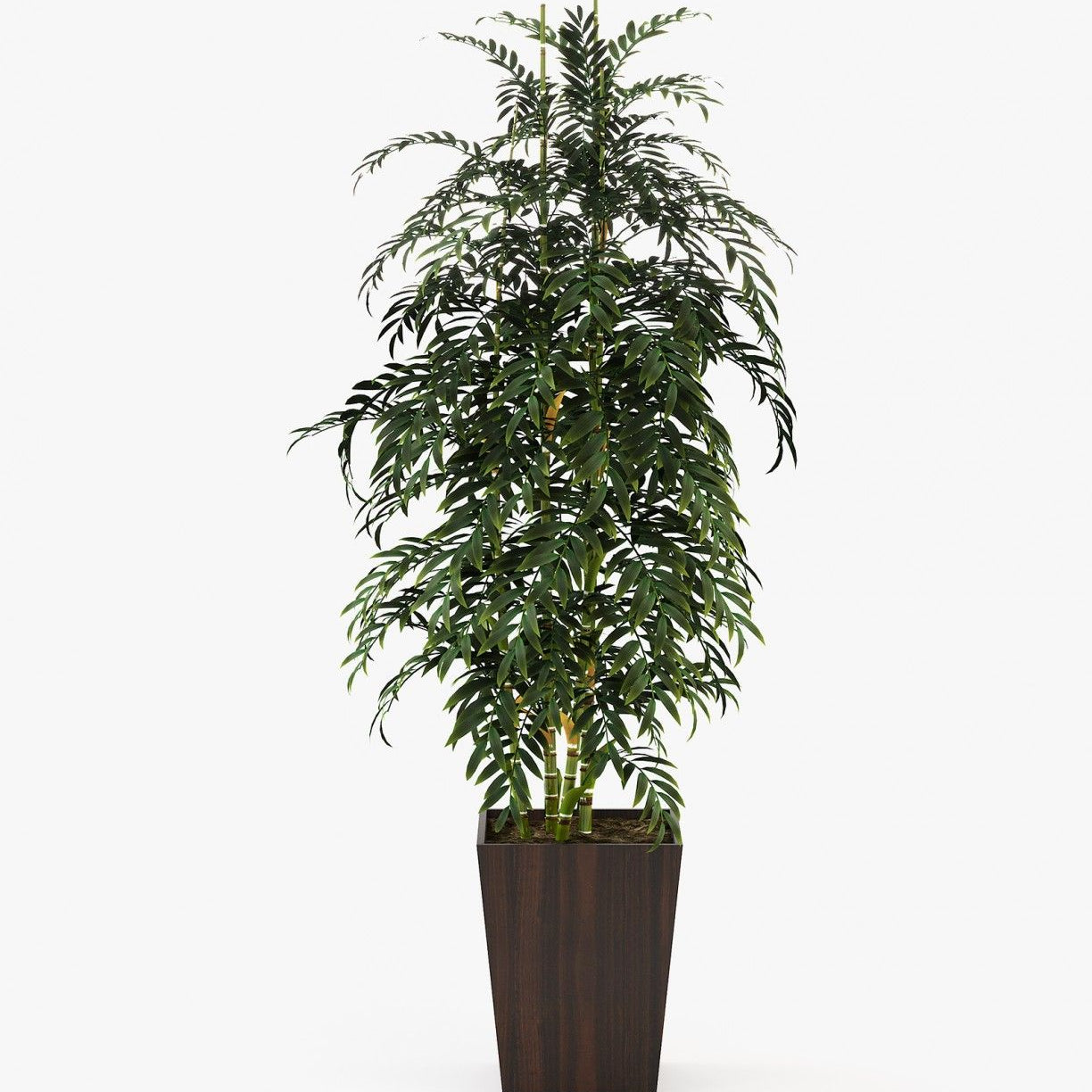 Laskasas POPPY Planter & Pot Smoked Eucalyptus Veneer Matte - Araco Interiors