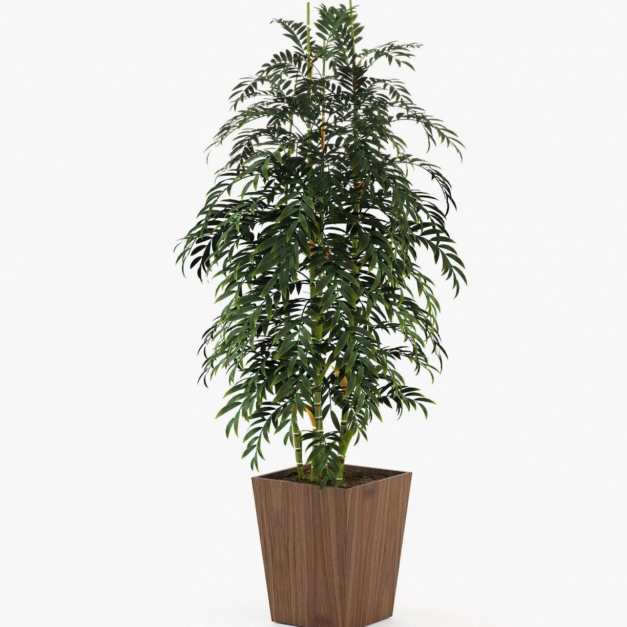 Laskasas POPPY Planter & Pot Walnut Veneer Matte - Araco Interiors