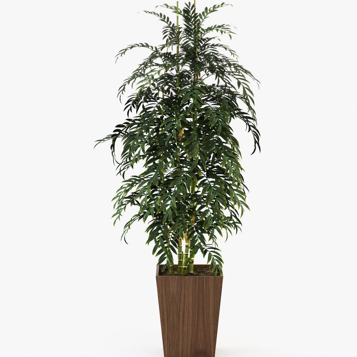 Laskasas POPPY Planter & Pot Walnut Veneer Matte - Araco Interiors