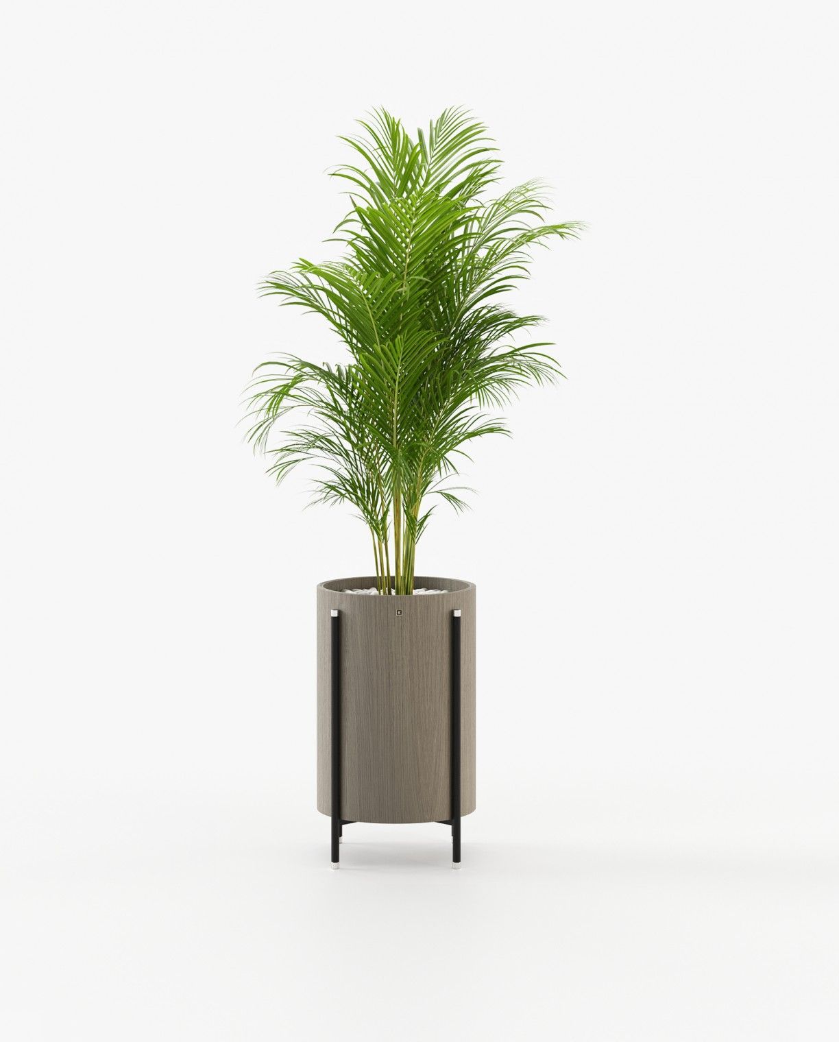 Laskasas ROSIE Planter & Pot Aged Oak Veneer Matte - Araco Interiors