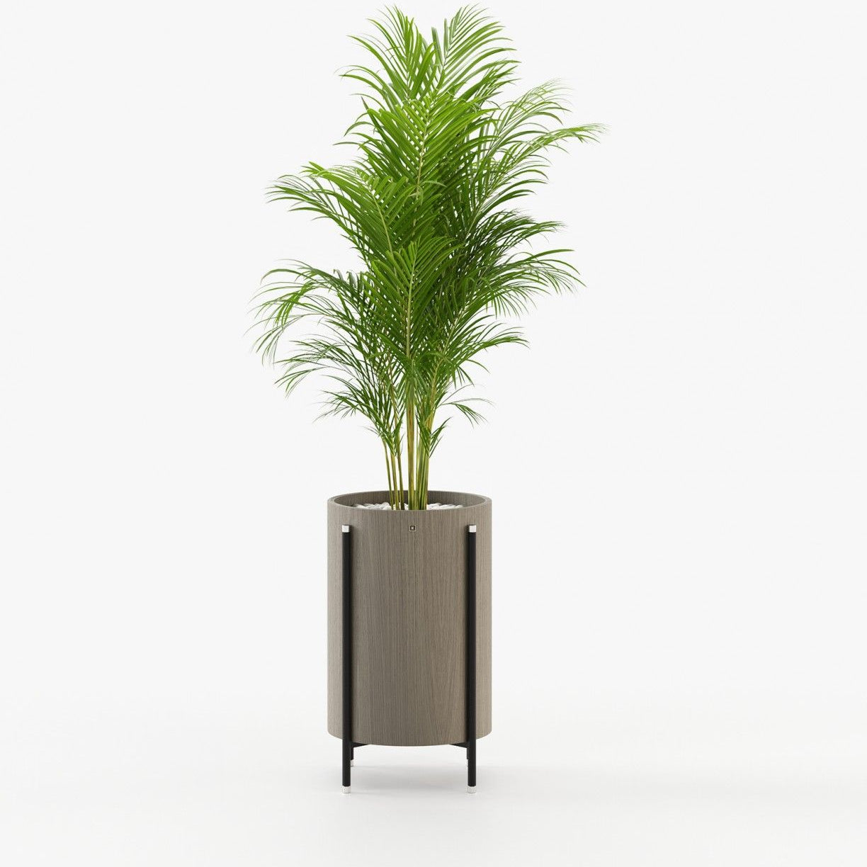 Laskasas ROSIE Planter & Pot Aged Oak Veneer Matte - Araco Interiors